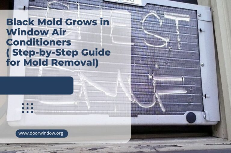 Black Mold Grows in Window Air Conditioners ( Step-by-Step Guide for Mold Removal)