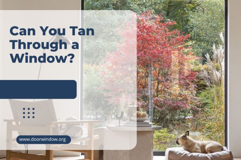 Can You Tan Through a Window?
