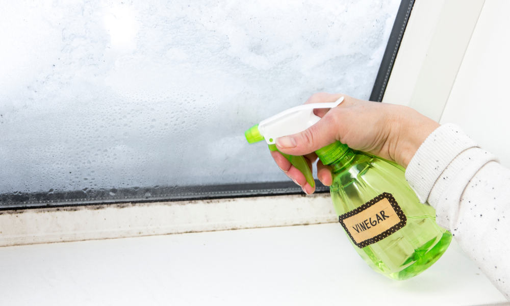 Cleaning-windows-with-vinegar-without-streaks