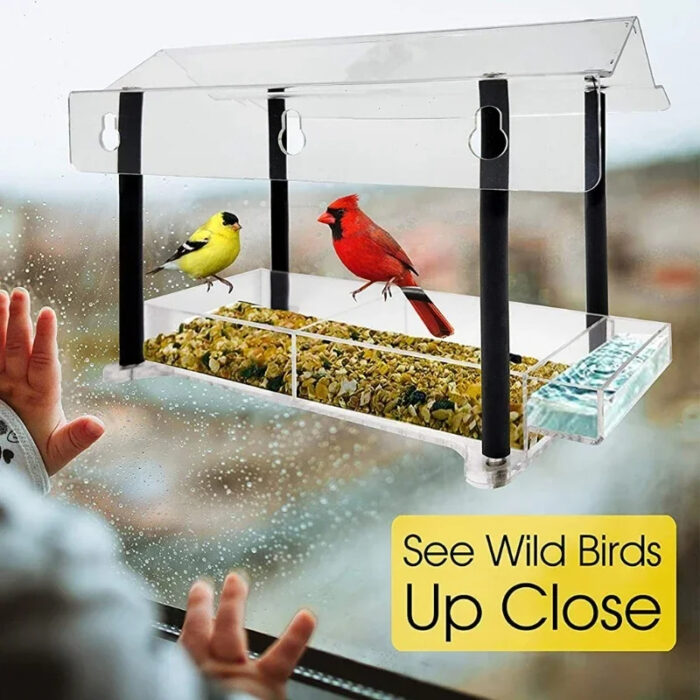 Clear See Through Window Bird Feeder House Strong Suction Cups-2