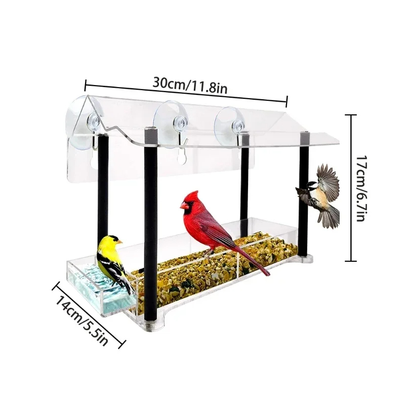 Clear See Through Window Bird Feeder House Strong Suction Cups-4
