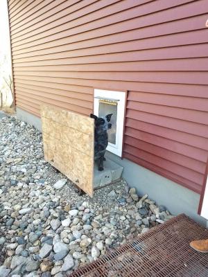 Dog Door Into the Garage by FarmShow