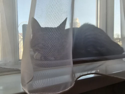 Foldable Cordless Indoor Cat Window Perch4