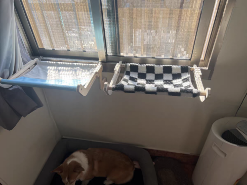 Hanging Wooden Indoor Cat Window Perch2