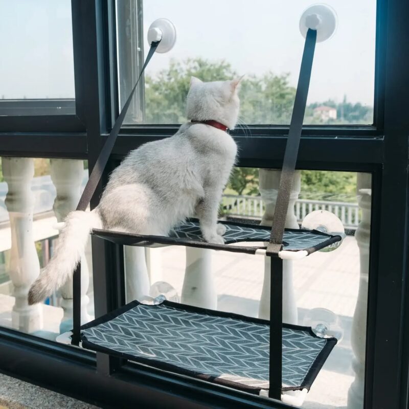 Kitty Sunny Seat Cat Window Perch1