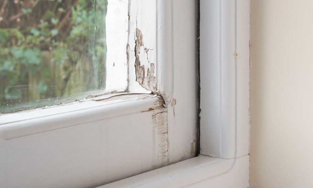Rotting or damaged windows