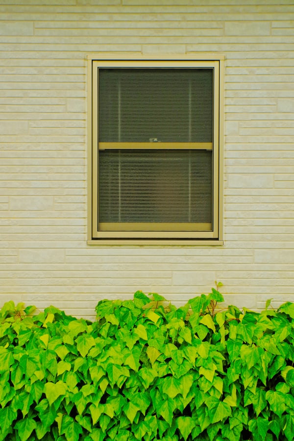 Single-hung-windows