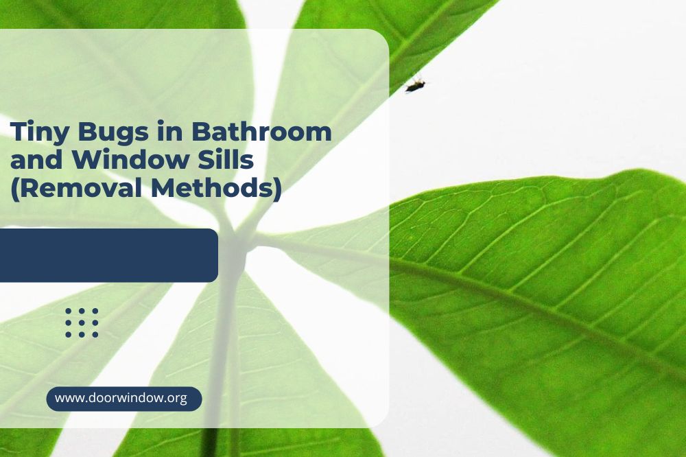 Tiny Bugs in Bathroom and Window Sills