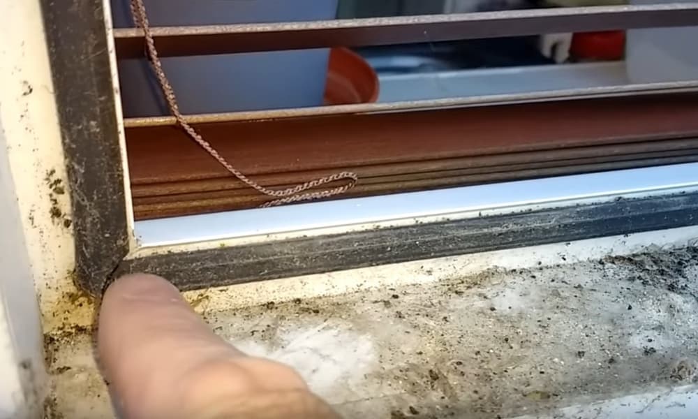 Top-Reasons-for-window-seal-failure
