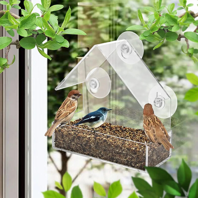 Transparent Window Wild Bird Feeder with Removable Suction Cups-1